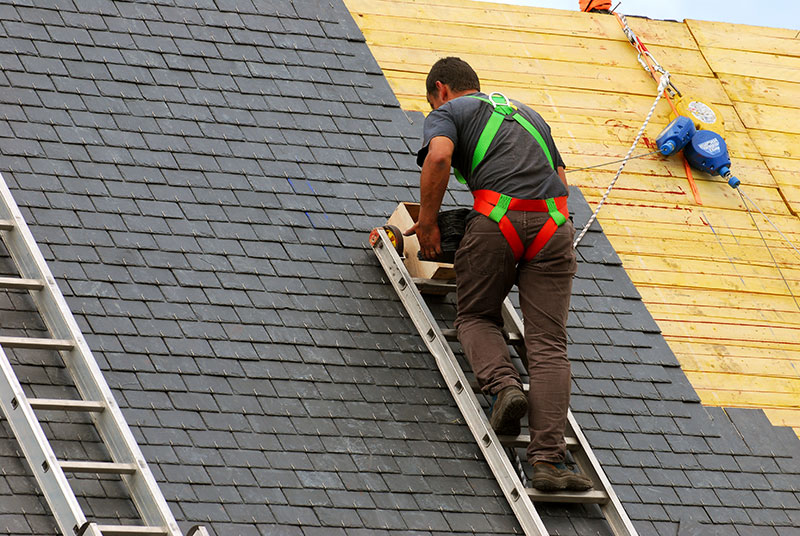 Shingle Roofers