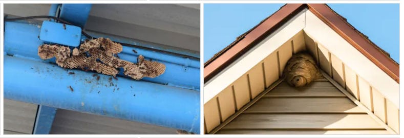 Three Problems Brunswick Homeowners Have with Their Roofs